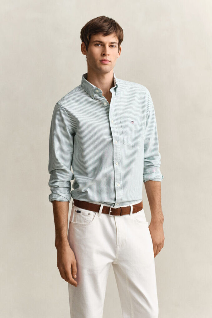 Camisas Oxford Clássicas com Risca de Bancário