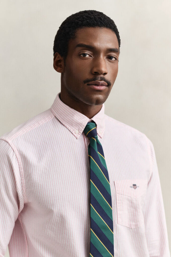 Camisas Oxford Clássicas com Risca de Bancário