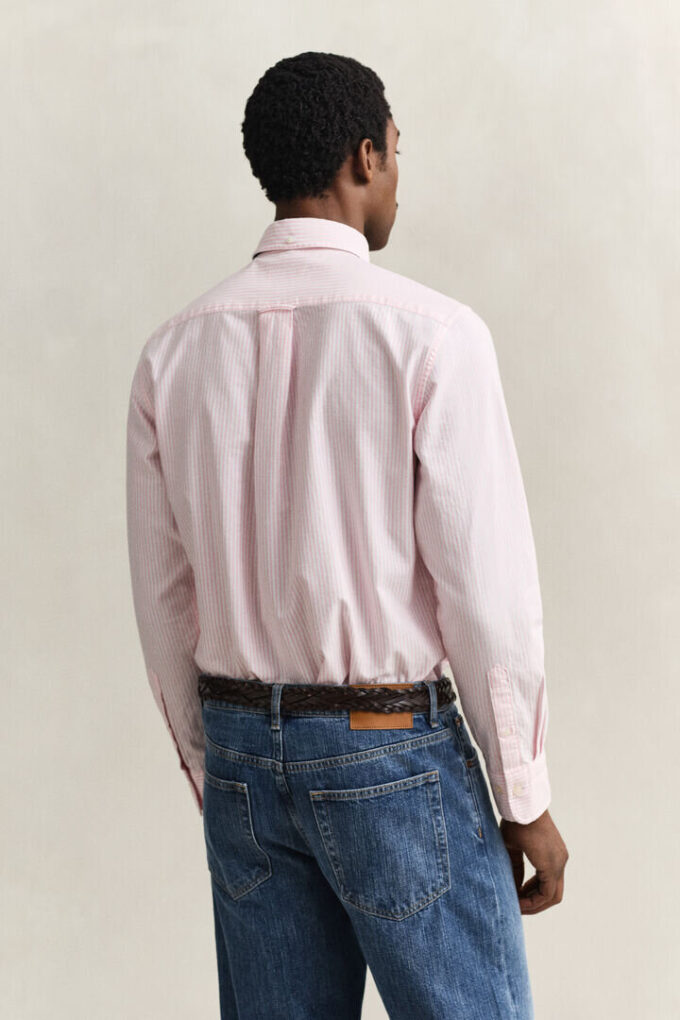 Camisas Oxford Clássicas com Risca de Bancário