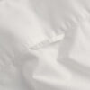 Camisas Oxford Clássicas de Corte Justo